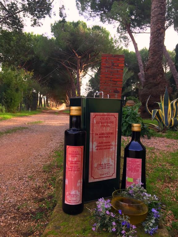 La Valentina Nuova Talamone