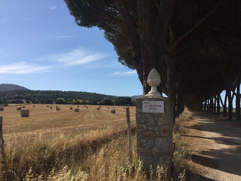 Farm stay La Valentina Nuova Talamone