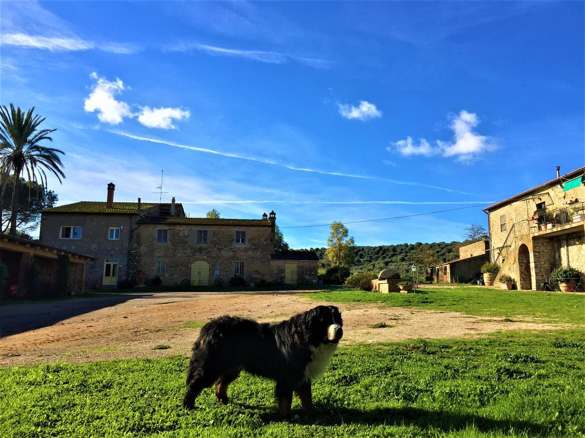 La Valentina Nuova Farm stay *