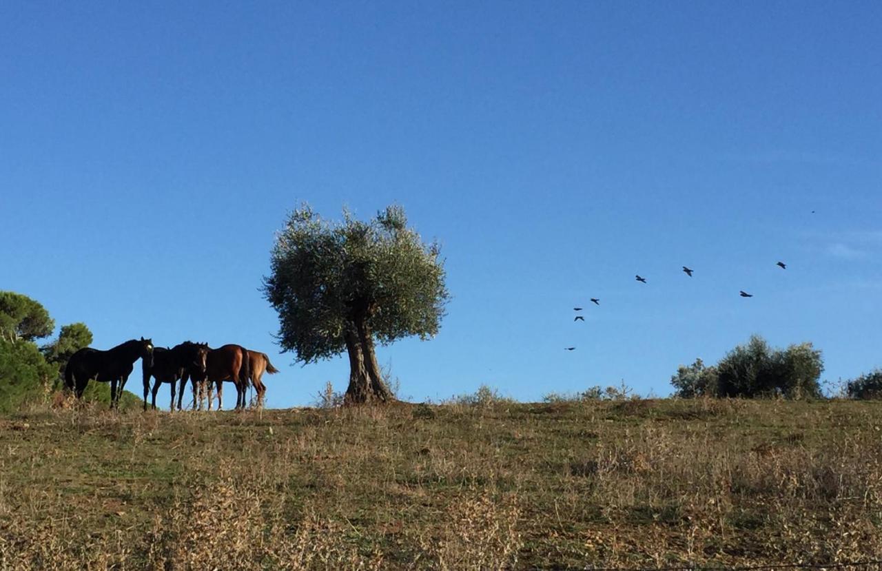 La Valentina Nuova * Talamone