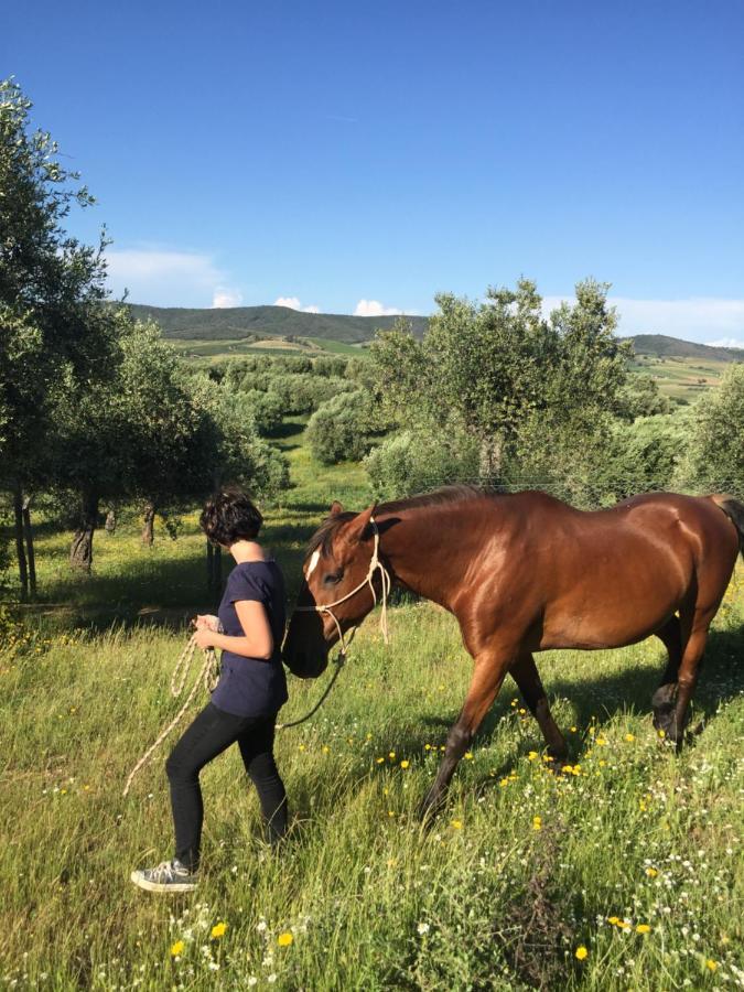 La Valentina Nuova Farm stay Talamone