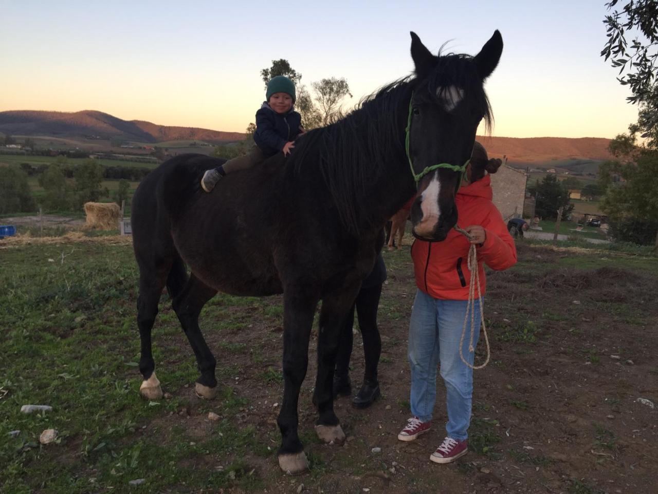 La Valentina Nuova Farm stay *