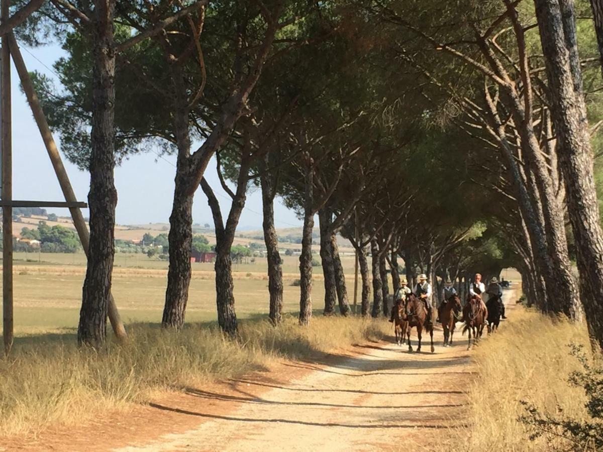 La Valentina Nuova Farm stay *